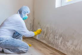 Why You Should Choose Our Mold Remediation Services in Riverside, AL